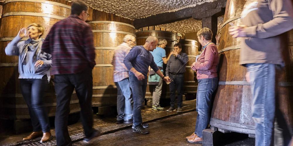 Groupe célébrant la nouvelle saison du cidre dans une cave